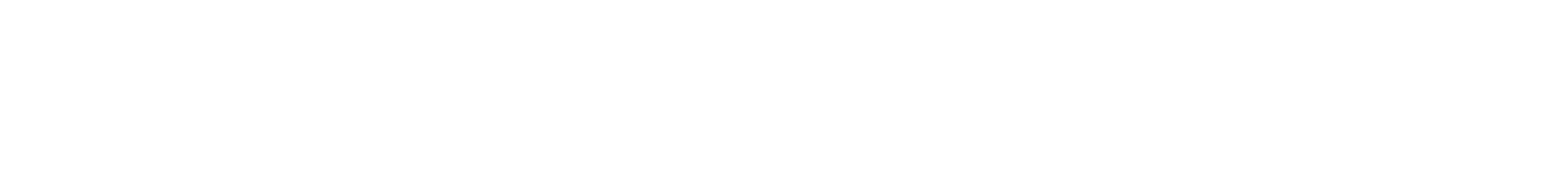 Bertoletti Group