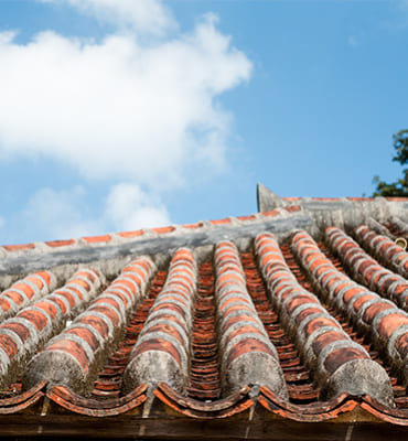 Pulizia tetti e coperture Condomini